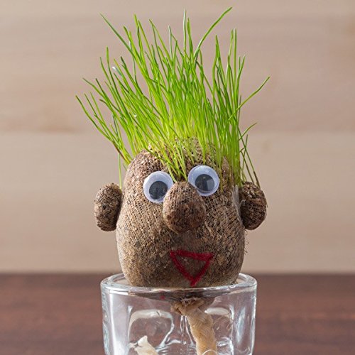 Mini- Grass-Head 150