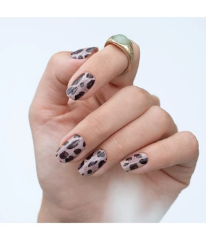 Miss Sophie UV Gel Wraps Gray Leo UV