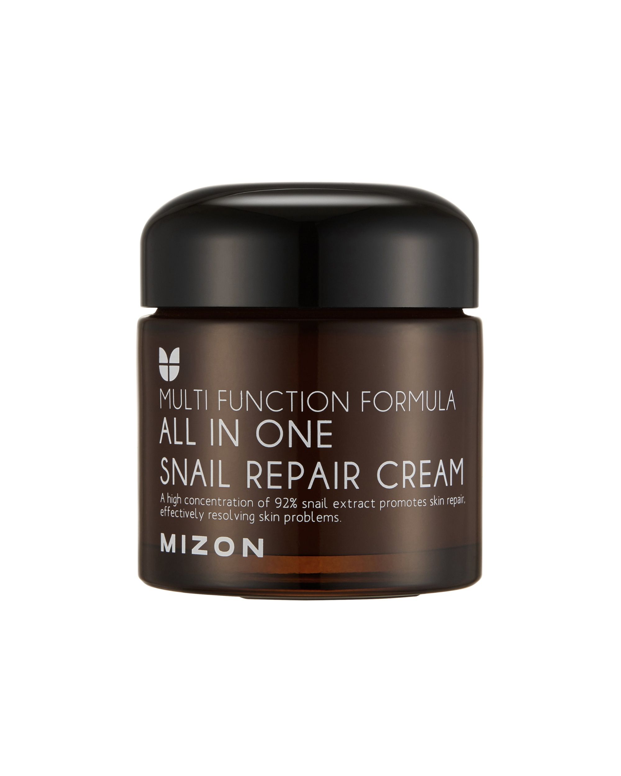MIZON All In One Snail Repair Cream 0,075 kg