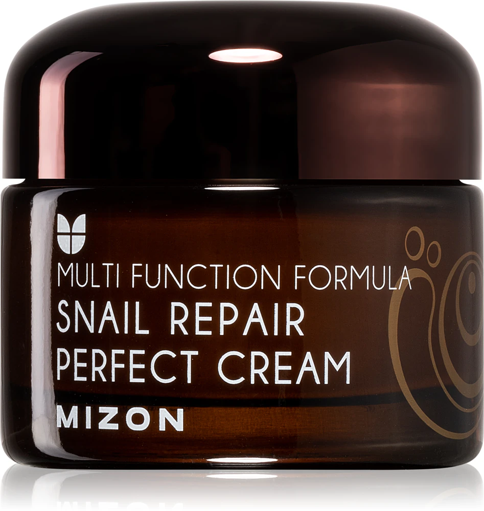 Mizon Multi Function Formula Snail Skin Cream with Snail Secretion Filtrate 60%