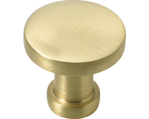 Hettich Furniture knob brushed aluminum gold ØxH 26/24 mm