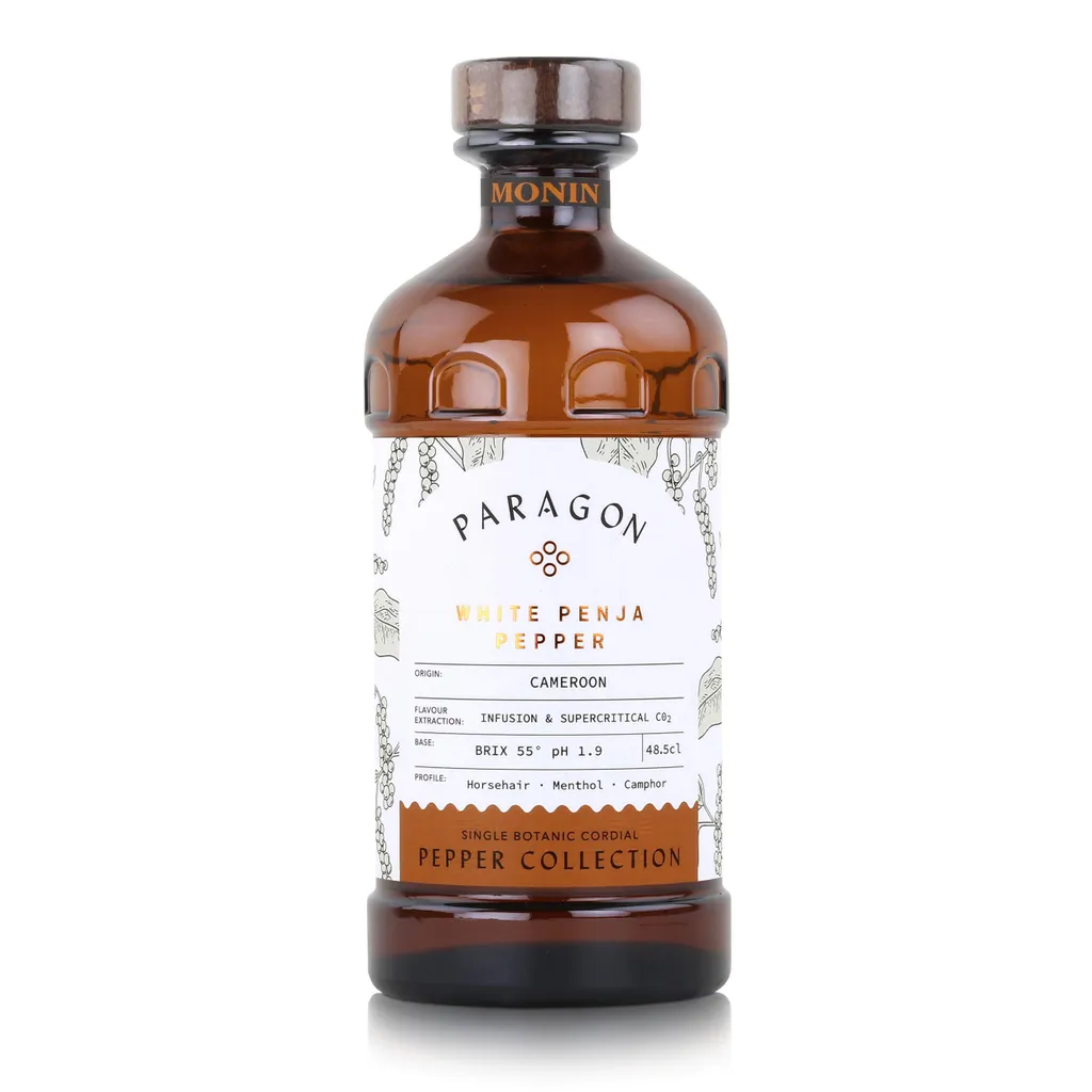 Monin Syrup Paragon Timur Berry 485ml - Cocktails Milkshakes (pack of 1) 485 ml