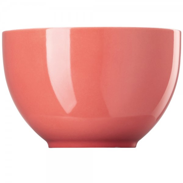 Muesli bowl Sunny Day Soft Red 12.2cm Rosenthal Thomas