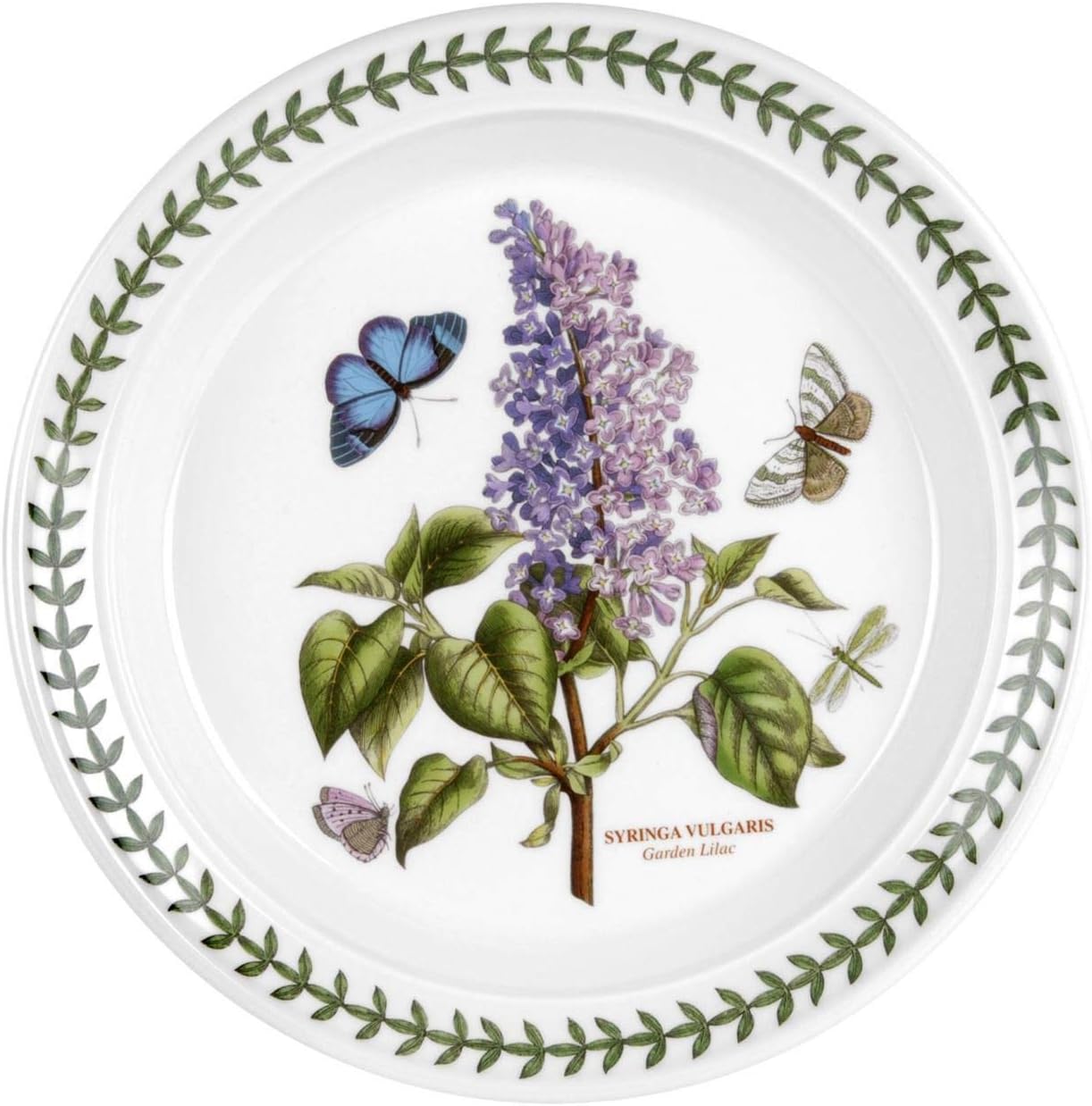 Portmeirion Botanic Garden Salad Plate - Purple