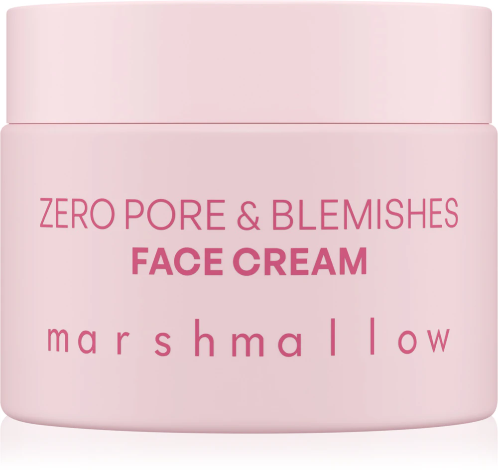 Nacomi Zero Pore & Blemishes skin cream against the skin's imperfections
