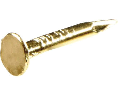 Hettich Nails for casket 1.08x8 mm brass-plated steel 200 pieces
