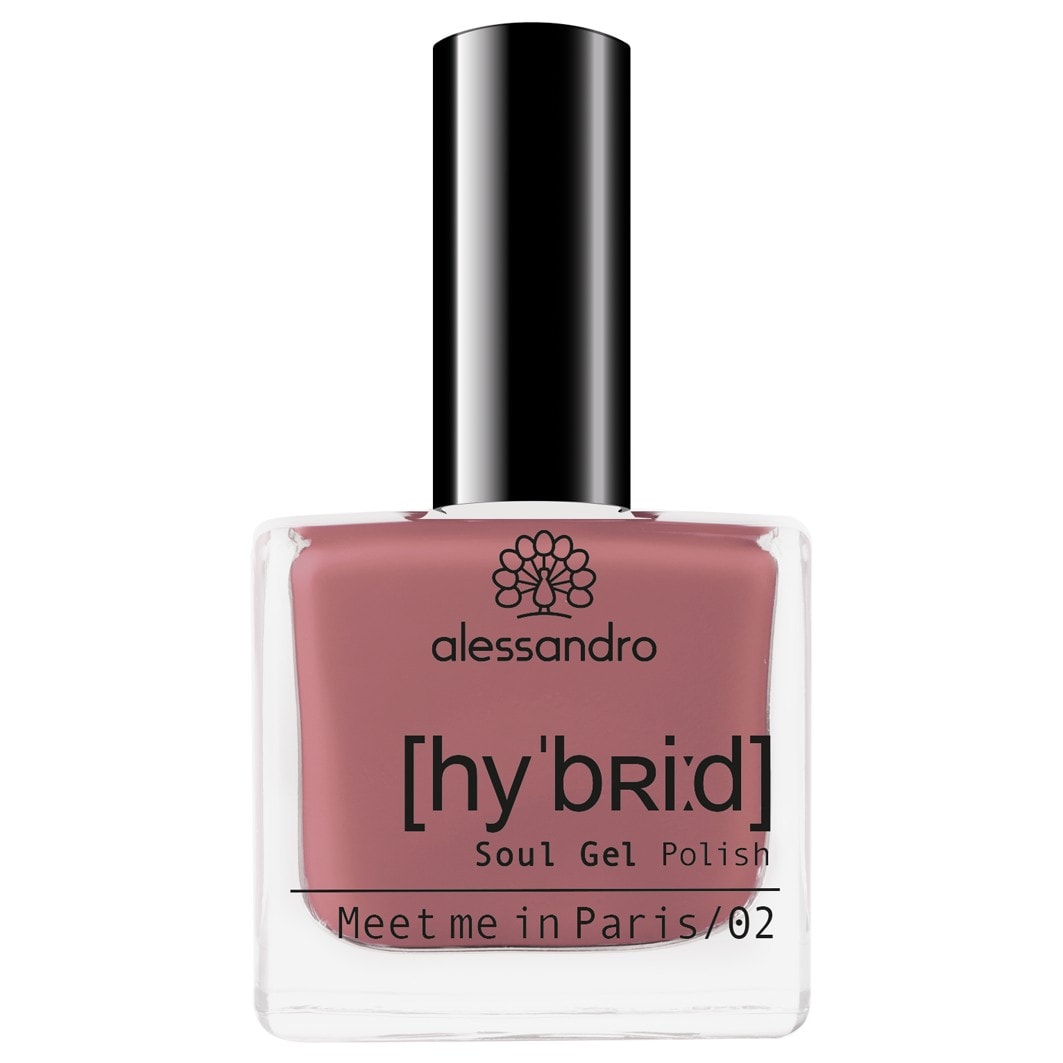 alessandro Hybrid paint, 106 Meet me in Paris