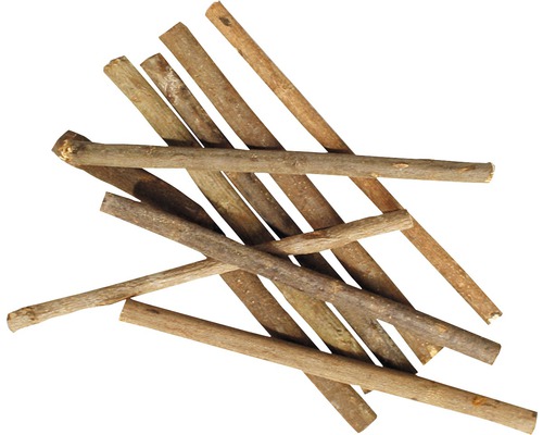 Rodent wood Karlie Kiwi Wood