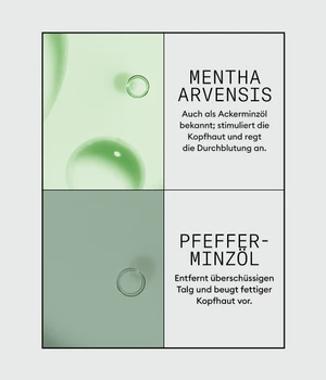 Nioxin Scalp Renew Dermabrasion Treatment