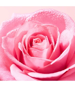 NUXE Very Rose RELAUNCH
