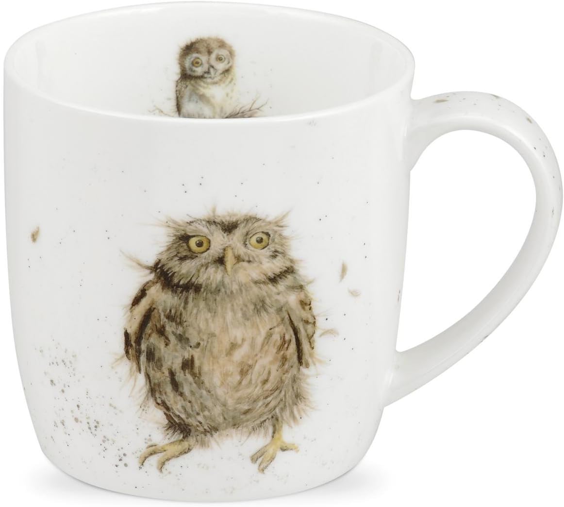 Wrendale by Royal Worcester What a Hoot (Owl) Single Mug