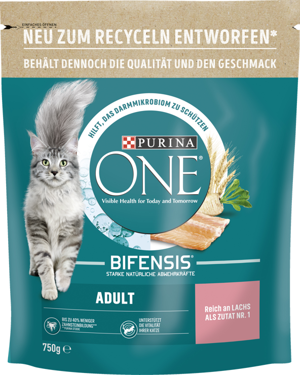 Purina ONE ADULT salmon