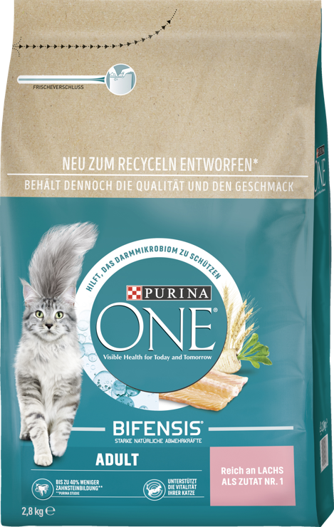 Purina ONE ADULT salmon