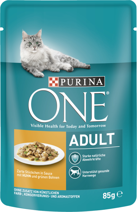 Purina ONE Adult Tender Morsels in Sauce with Chicken & Green Beans