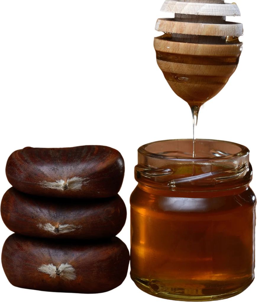 Öz Natur | Chestnut Honey 450g