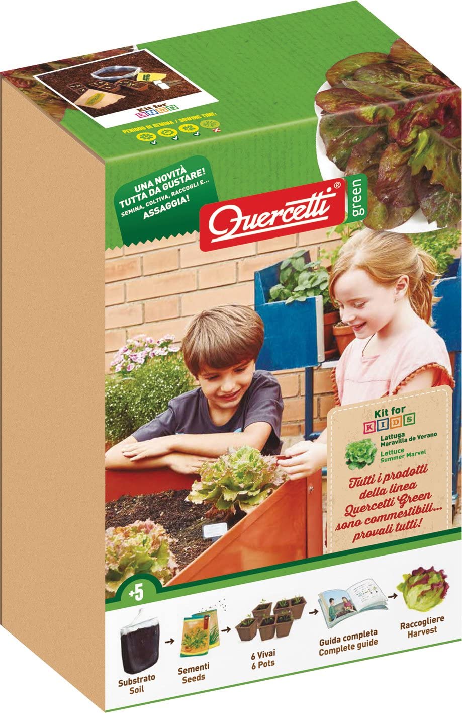 Quercetti 09599 - Kit-For-Kids Lattuga