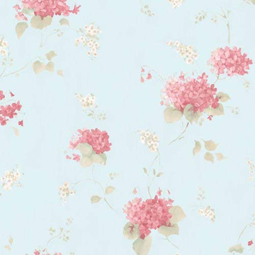 galerie-24 Pp35507  Pretty Fifi 4 Blau Rosa Hintergrund Galerie