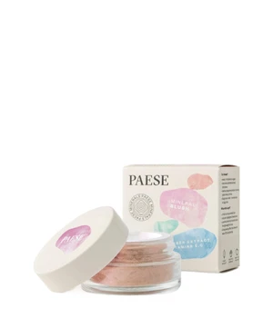 Paese Cosmetics Mineral, No. 301N - Dusty Rose 6g