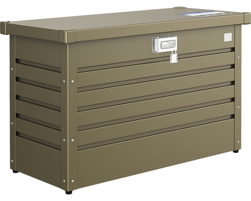 Package box biohort 100 101 x 46 cm bronze metallic