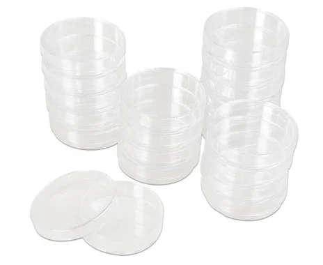 Plastic petri dishes, 20 pieces