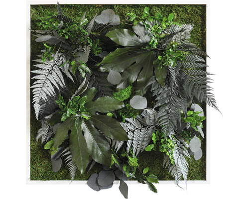 Stylegreen Plant picture jungle design frame white 55x55 cm