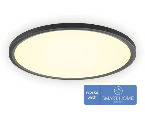 Philips Hue ceiling light 23W 2350 lm 2200-6500 K HxØ 3.6x42.1 cm Tento white Ambiance black