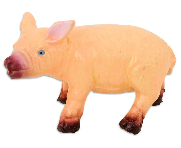 Betzold Piglet
