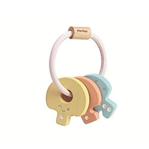 Plan Toys-Wooden, The Driver Will Show You The Keys