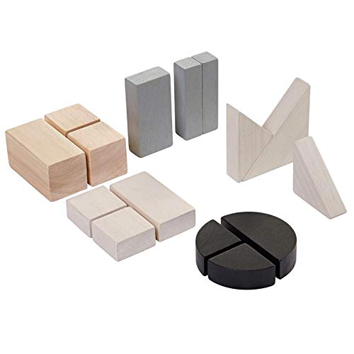 Plan Toys Pt5371 Blocks Fraction