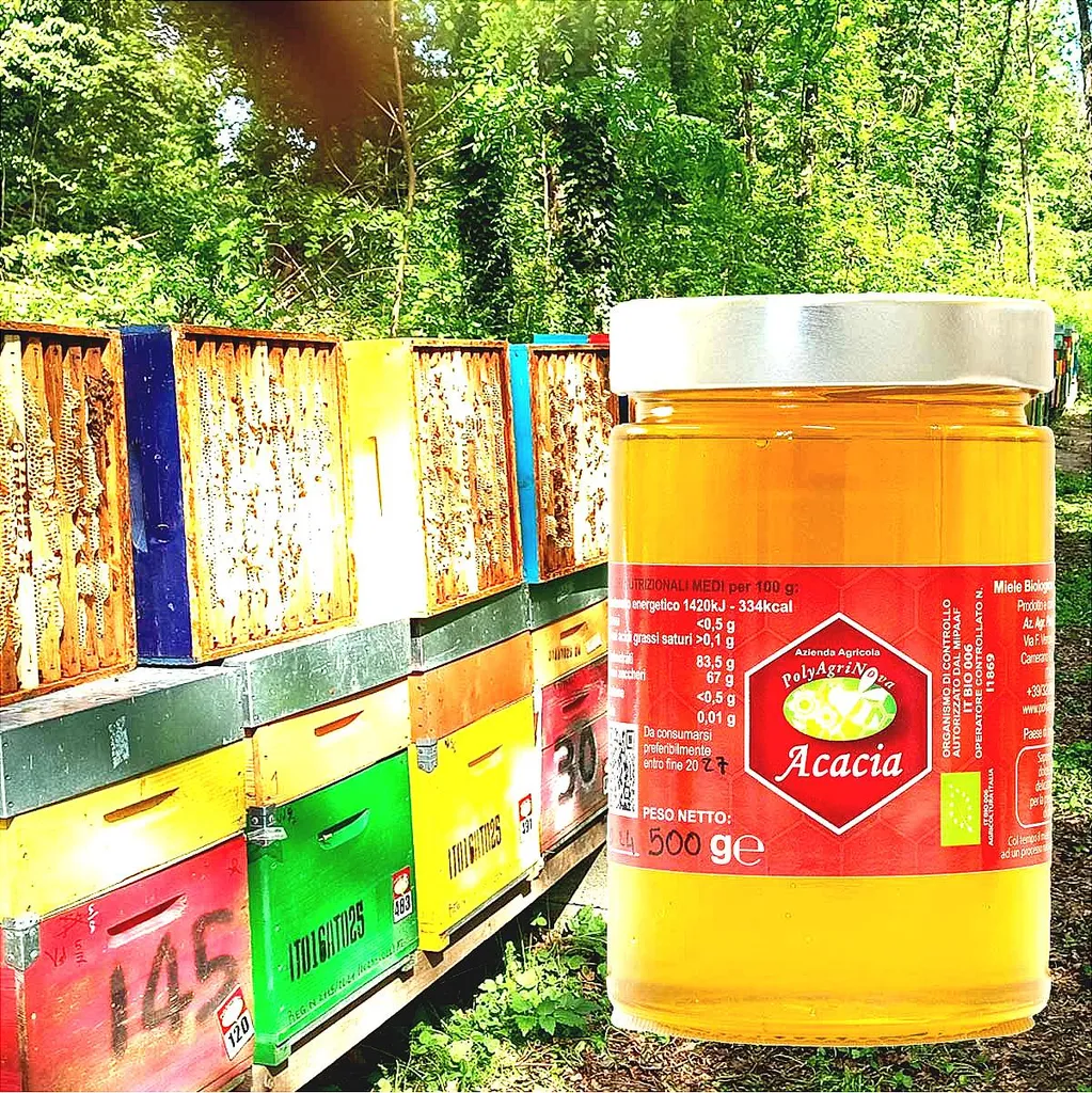 Win2Win Tech Polyagrinova - Acacia Honey 500g - Unfiltered - Italian Honey - In a Glass Jar - Natural Honey 500g