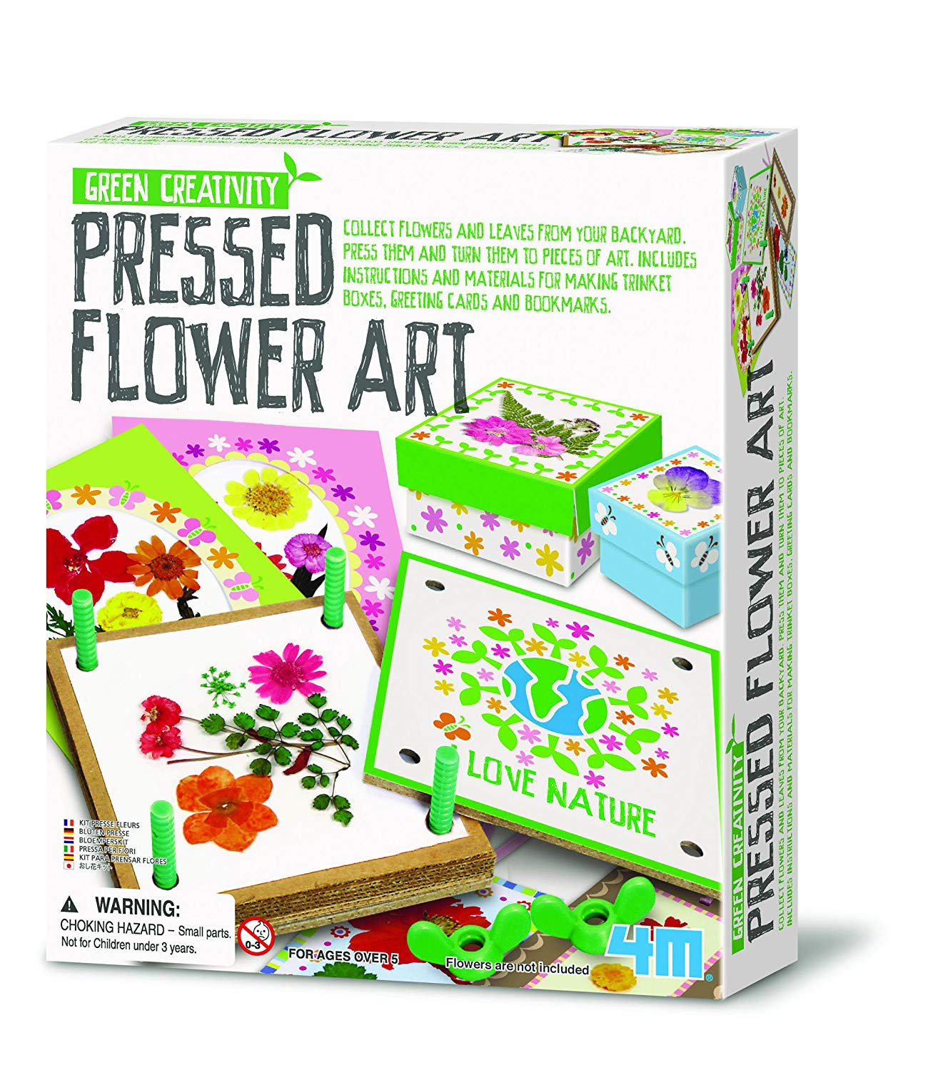 Great Gizmo Pressed Flower Art