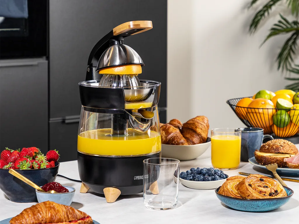 Princess Juicer Pure 300W bk/sr