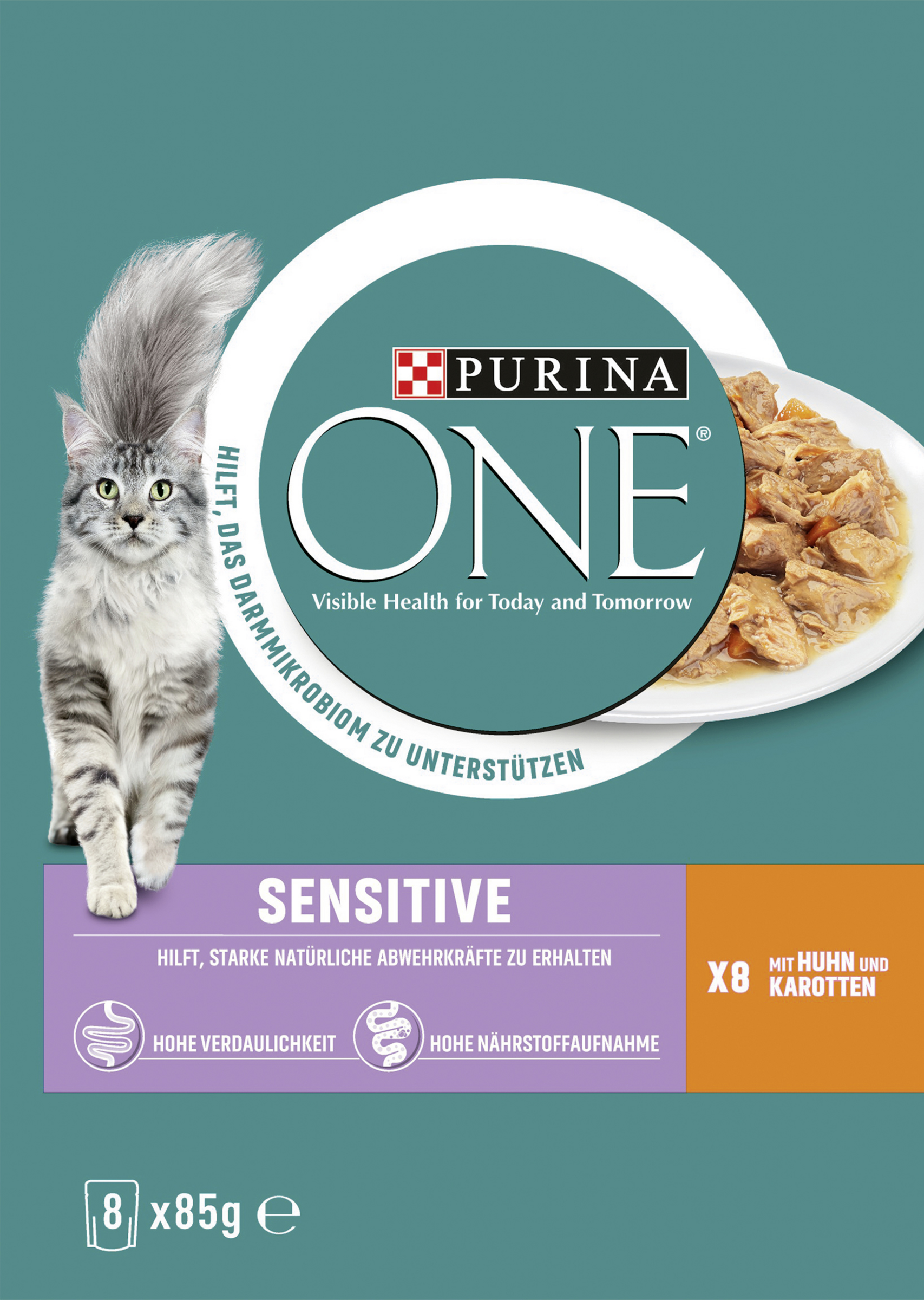 Purina One Sensitive with Chicken and Carrots
