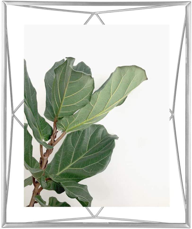 Umbra Nesta Plant Holder For Hanging or Standing