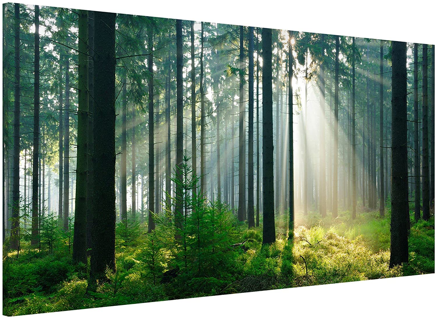 Apalis Magnetic notice board/Memo Board – Enlightened Forest "37 x 78 cm, 37x78