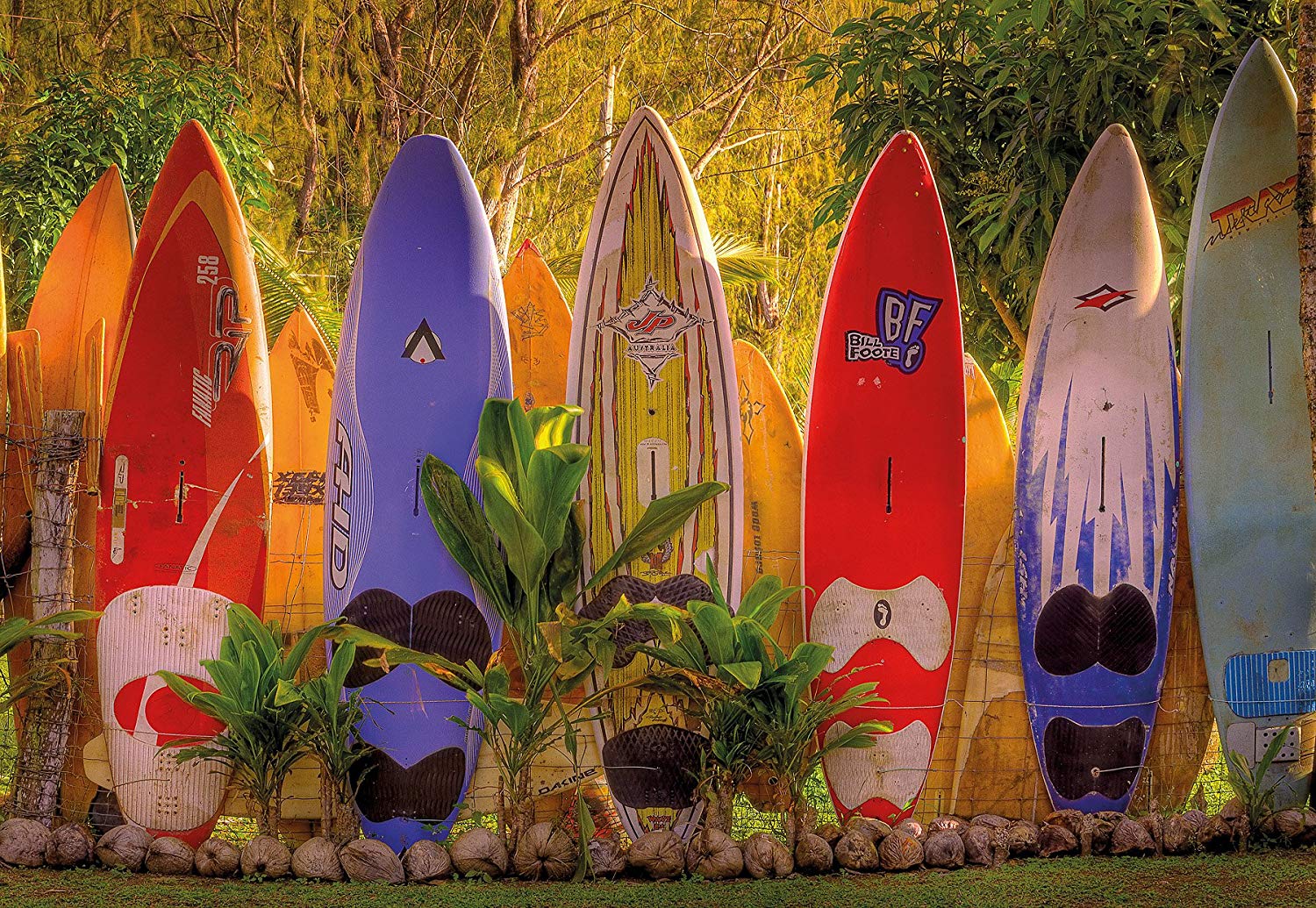 Komar Photo Wallpaper Wallmural 368X254 Cm Maui, Surfboards In Hawaiian Garden,