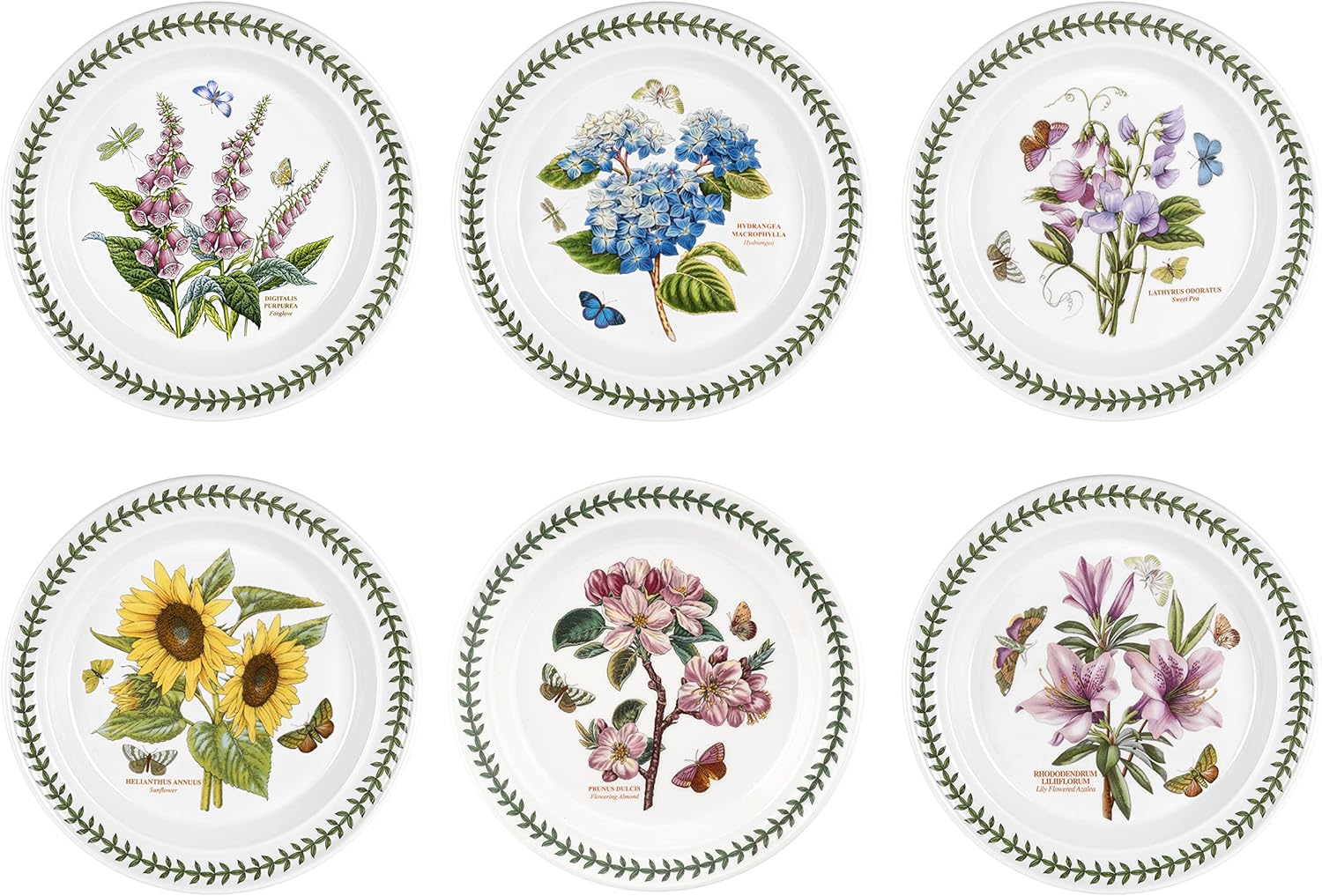 Portmeirion Set of 6 Dinner Plates, Earthenware, White, 10.5 inches, 6