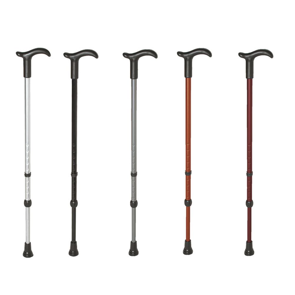 Rebotec Simplex walking stick with Fritz grip 1 St