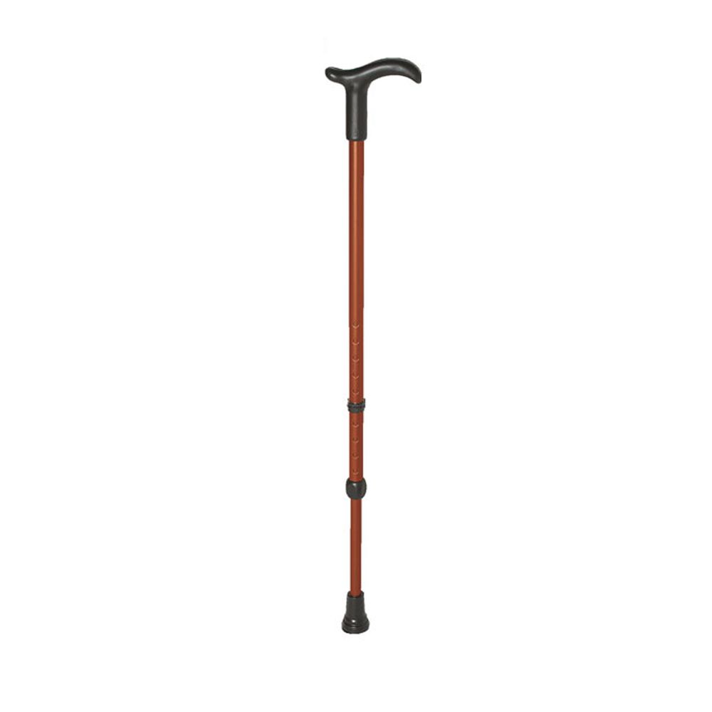 Rebotec Simplex walking stick with Fritz grip 1 St