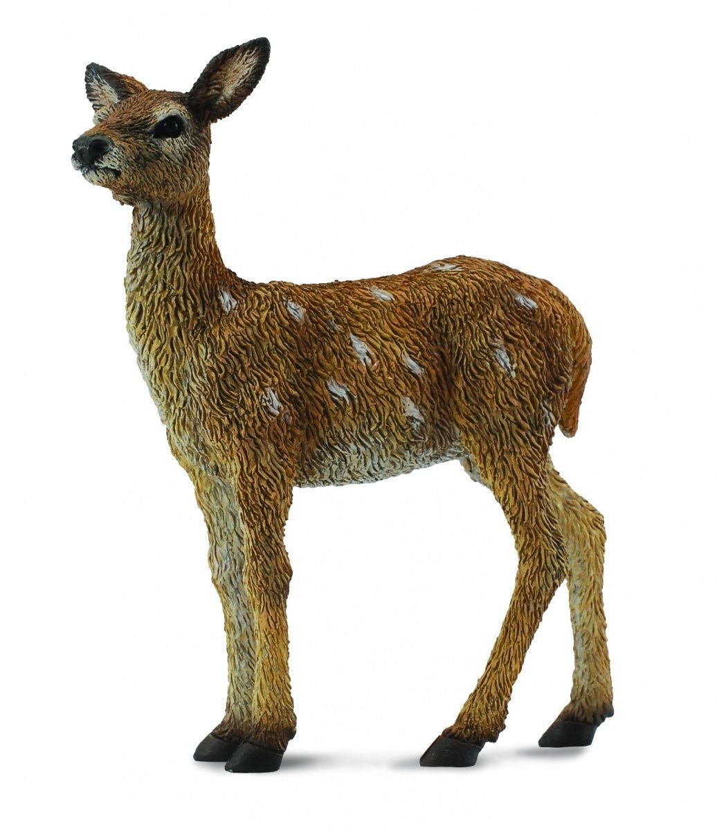 Red Deer Calf Collecta
