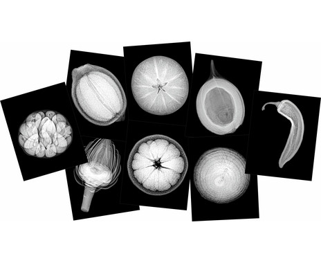 X-ray images of plants