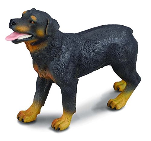Rottweiler - Collecta Miniatures