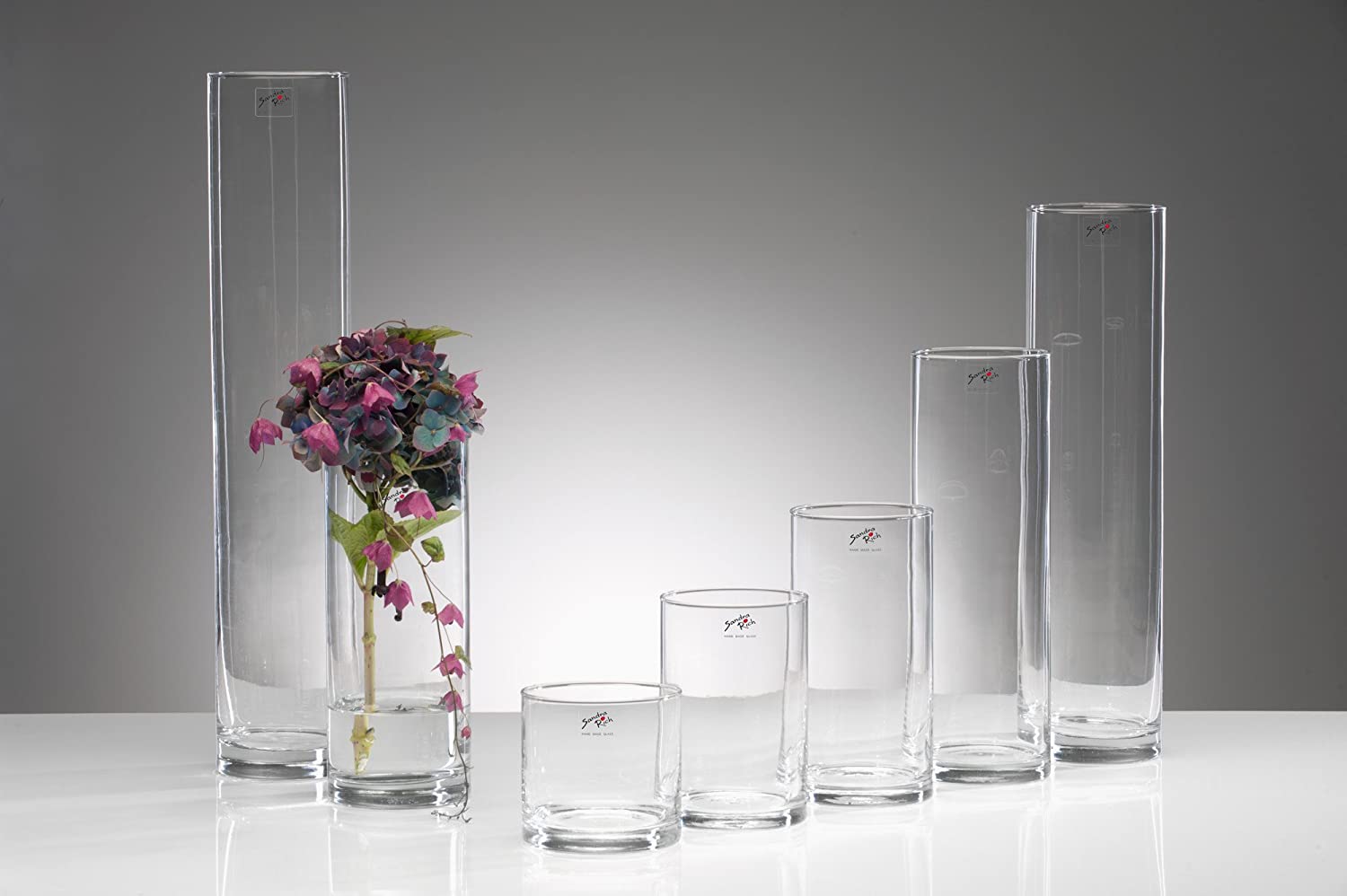 Sandra Rich Set of 6 Glass Vase Cyli Glass Table Vase Cylinder 10 cm