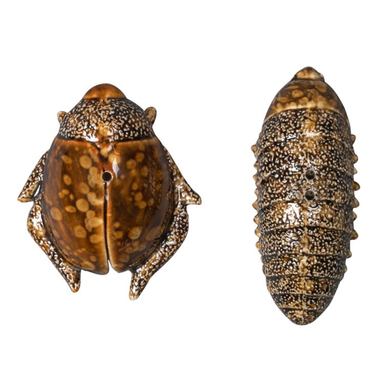 by-on Salt And Pepper Beetle