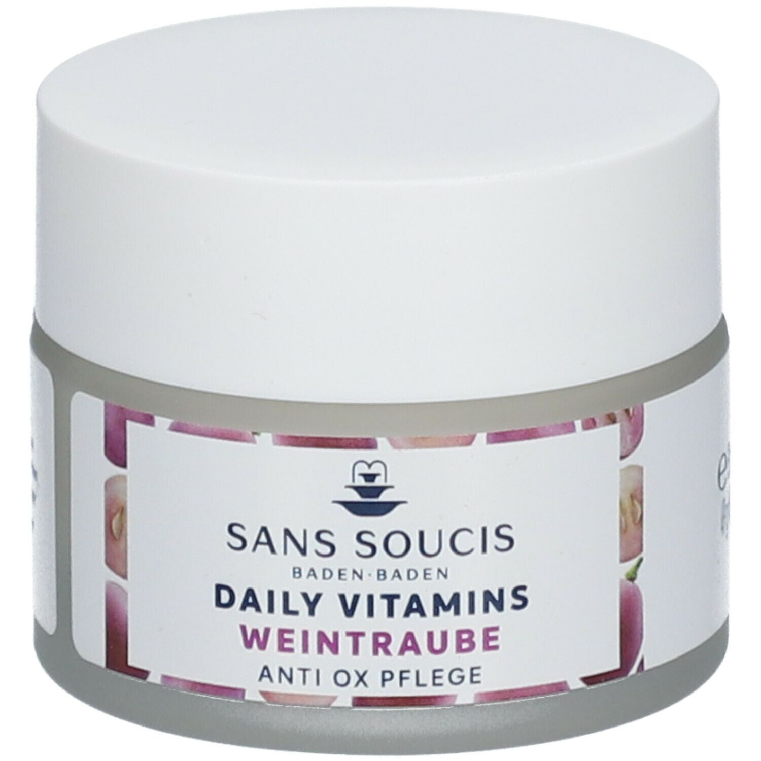 SANS SOUCIS DAILY VITAMINS GRAPE 40 g