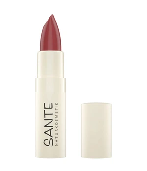 Sante Moisture Lipstick
