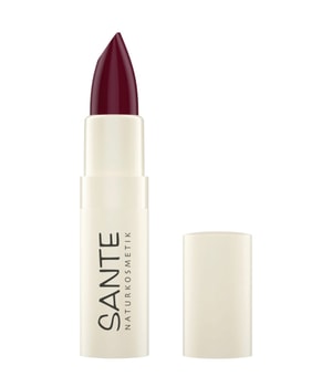Sante Moisture Lipstick