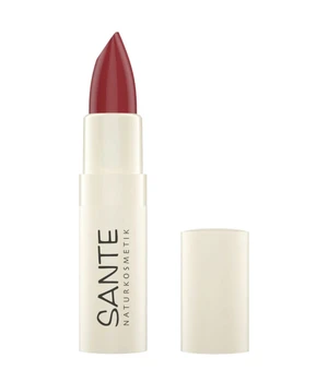 Sante Moisture Lipstick