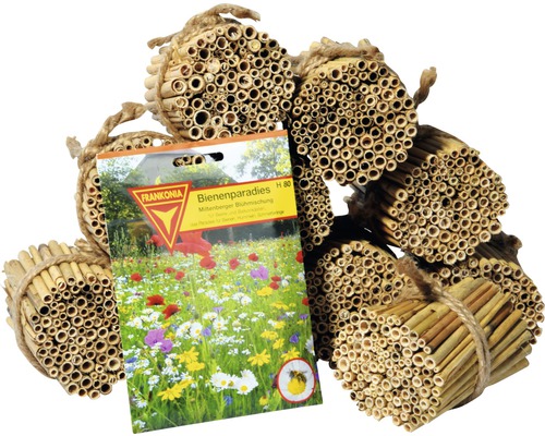 Reed stem set including seed mix