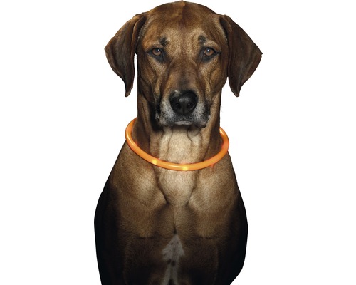 Tube collar Karlie LED 70 cm, orange